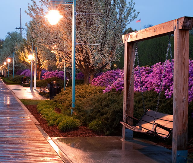 A view of the Burlington waterfront boardwalk focusing on a swinging park bench in front of pink flowers